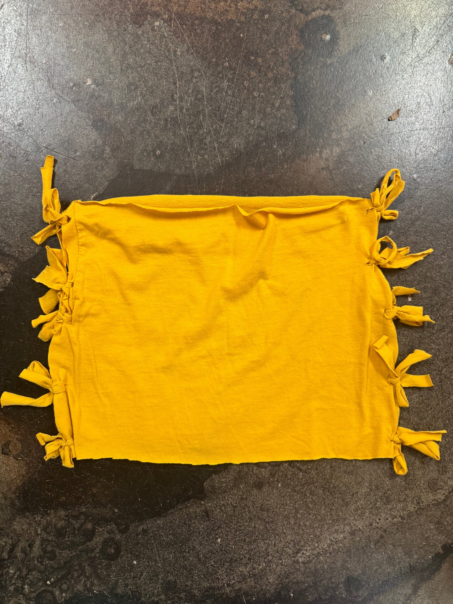 BLEACHER BABE X POINTERS TUBE TOP