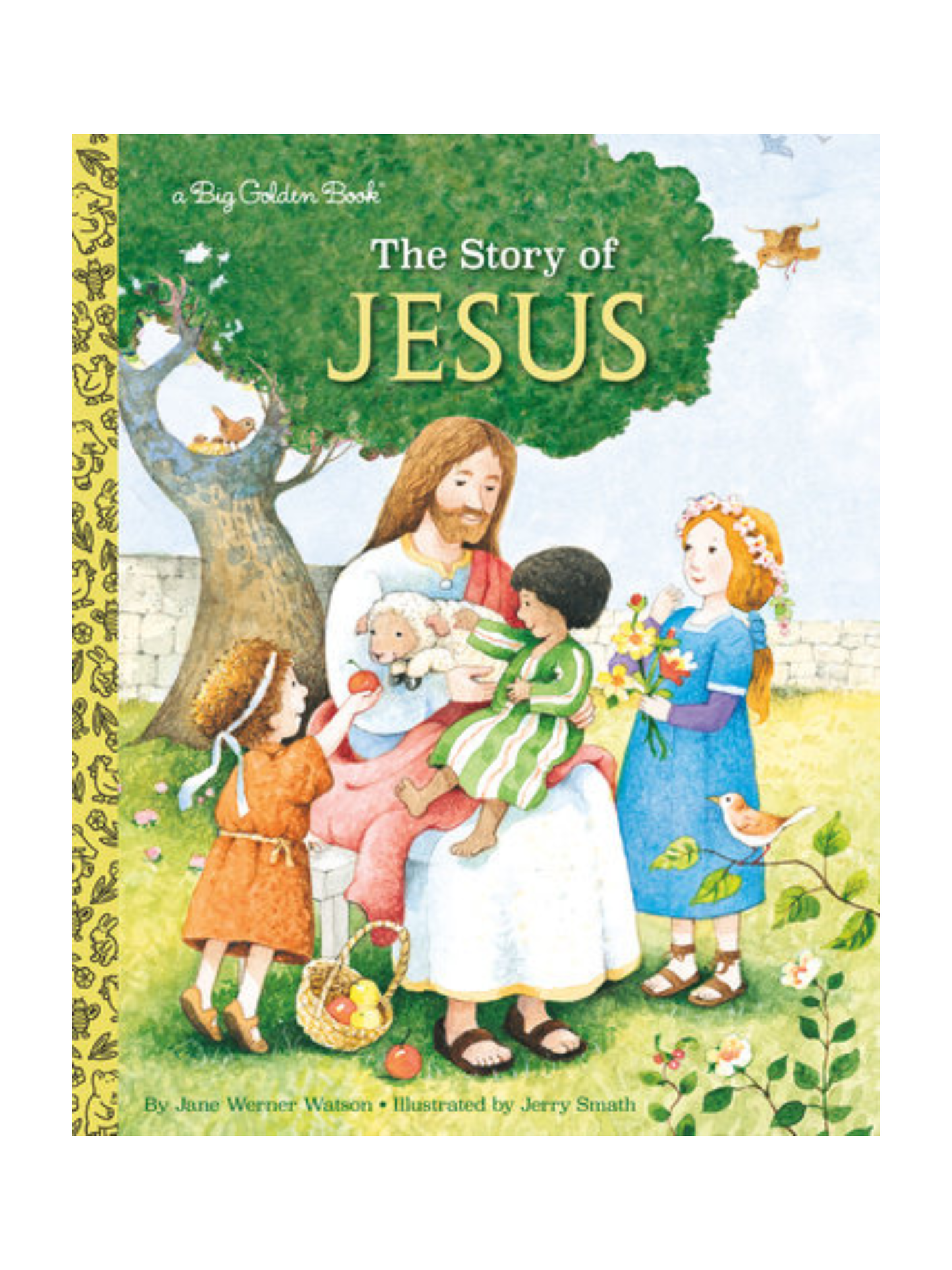 THE STORY OF JESUS BOOK