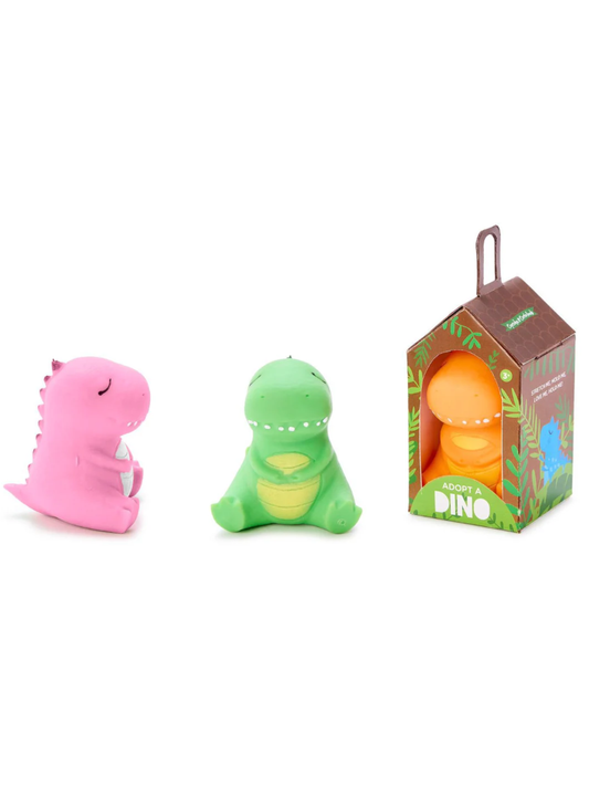 ADOPT A DINO STRETCH AND MOLD DINO