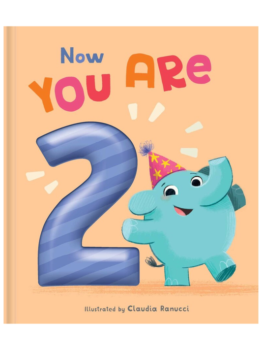 NOW YOU ARE 2 BIRTHDAY BOOK