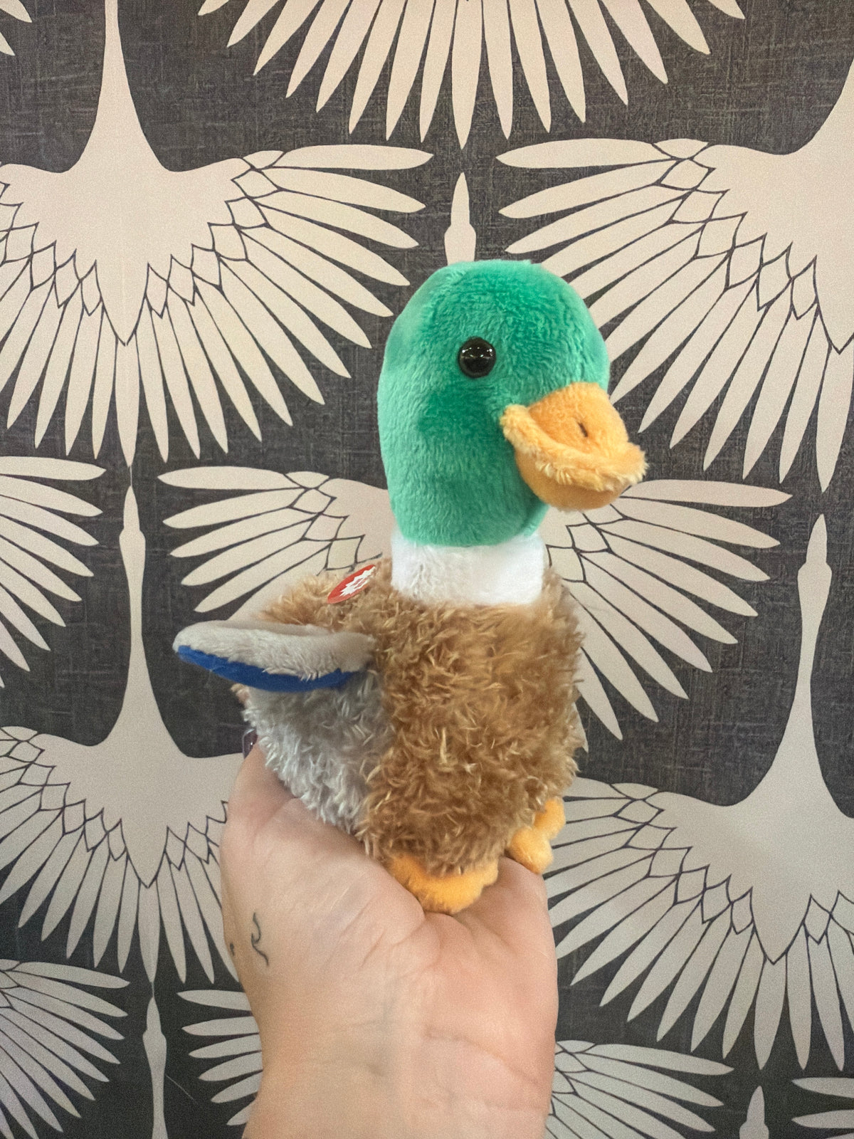 Mary Meyer mallard duck stuffed animal with green head, brown body, orange beak and feet