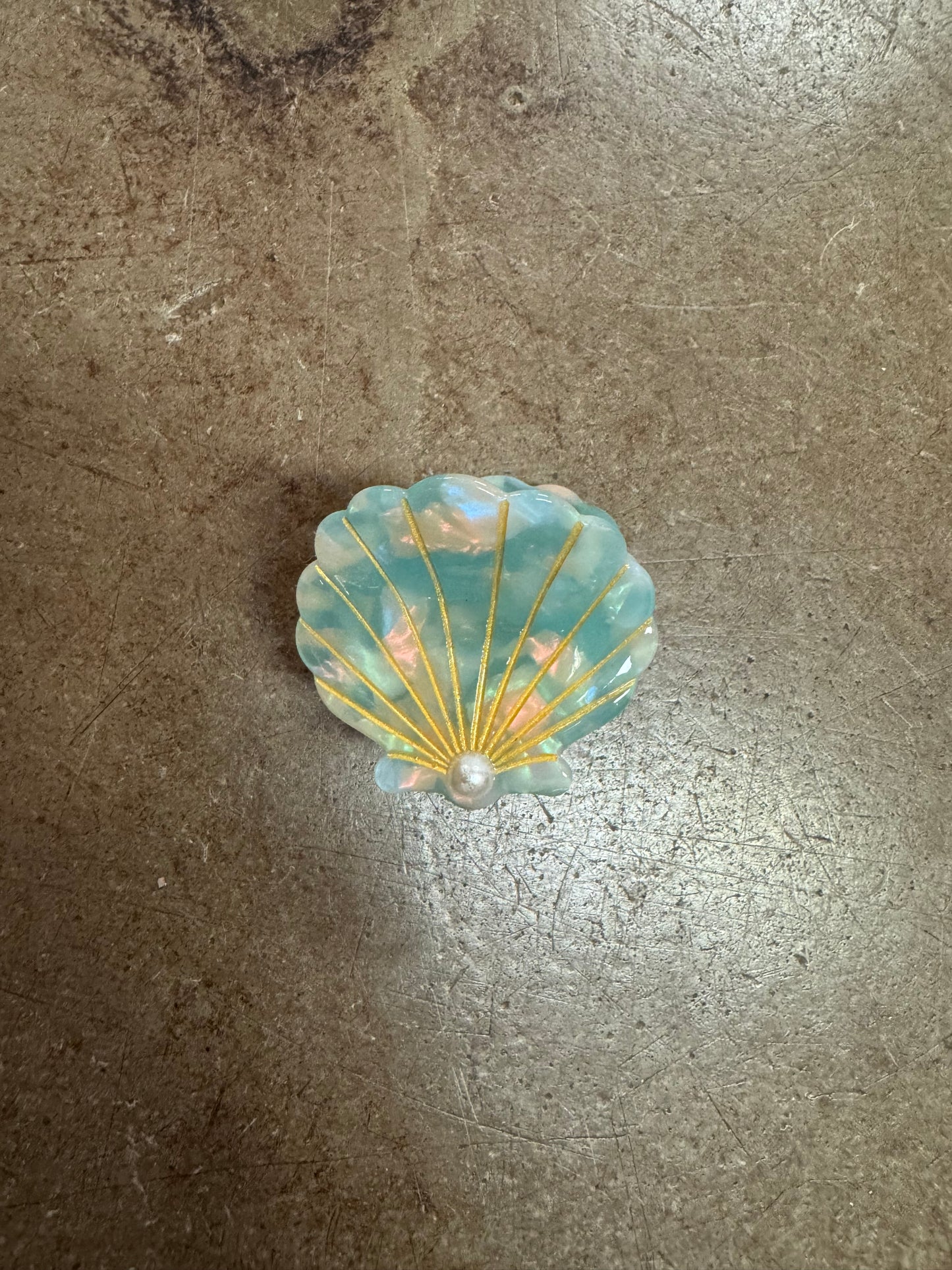 SEASHELL CLAW CLIPS