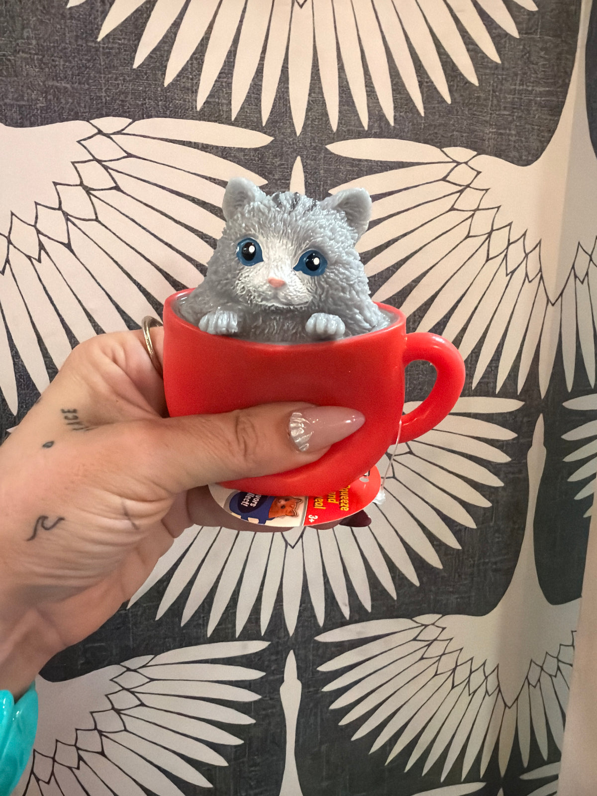 POP A CHINO SQUEEZE + REVEAL KITTIES