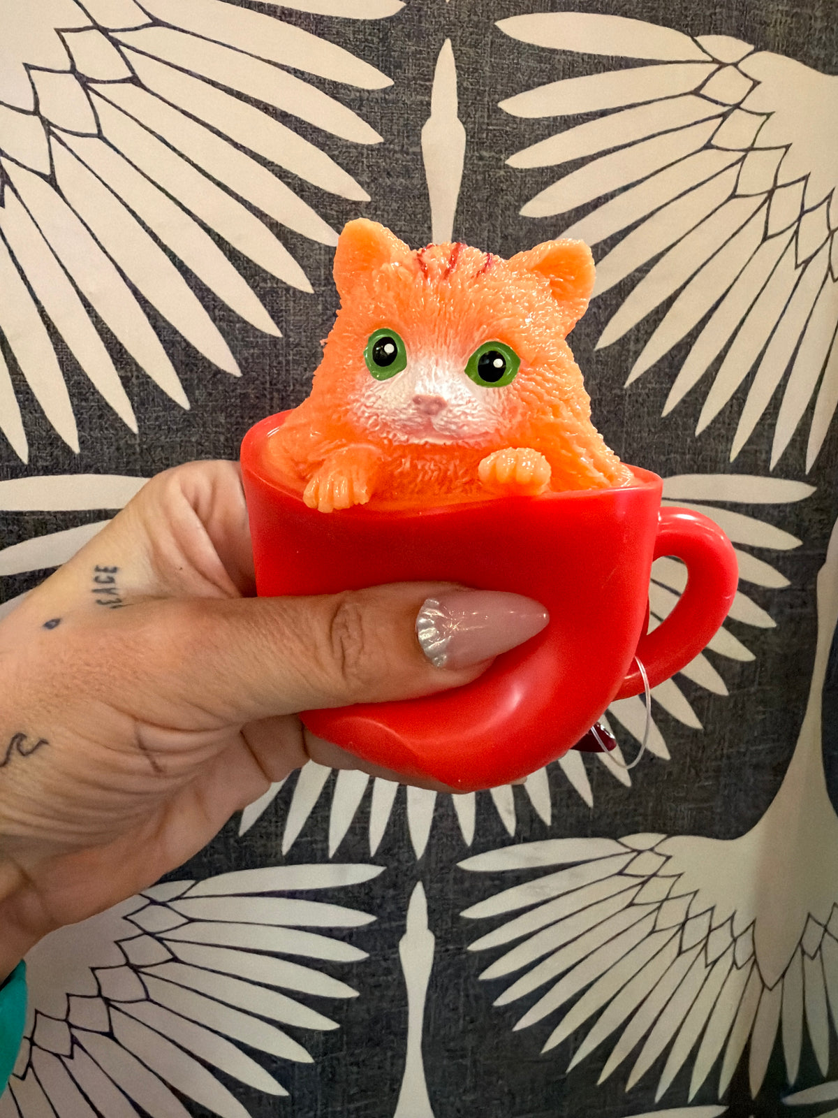POP A CHINO SQUEEZE + REVEAL KITTIES