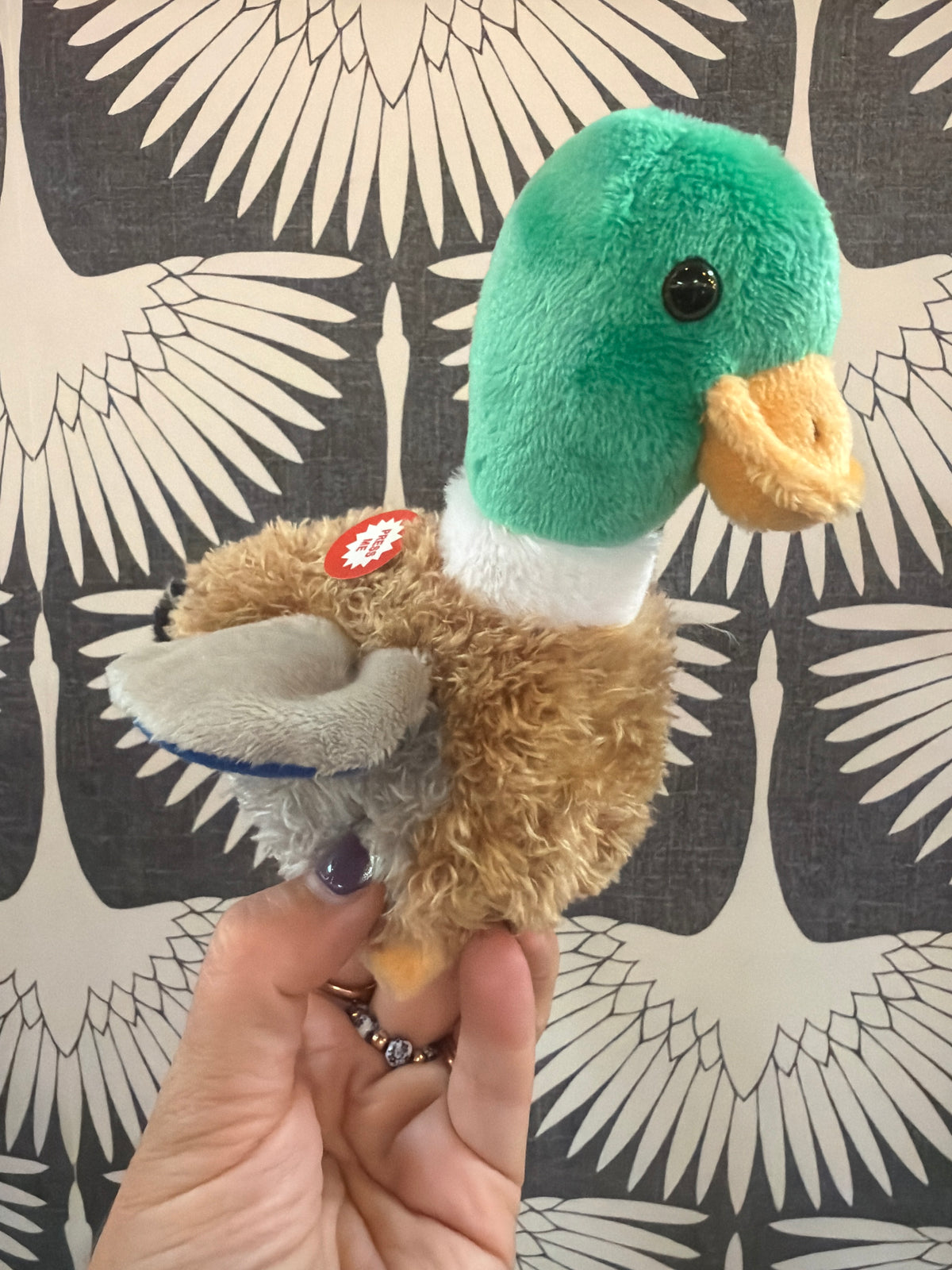 Mary Meyer mallard duck stuffed animal with green head and brown body