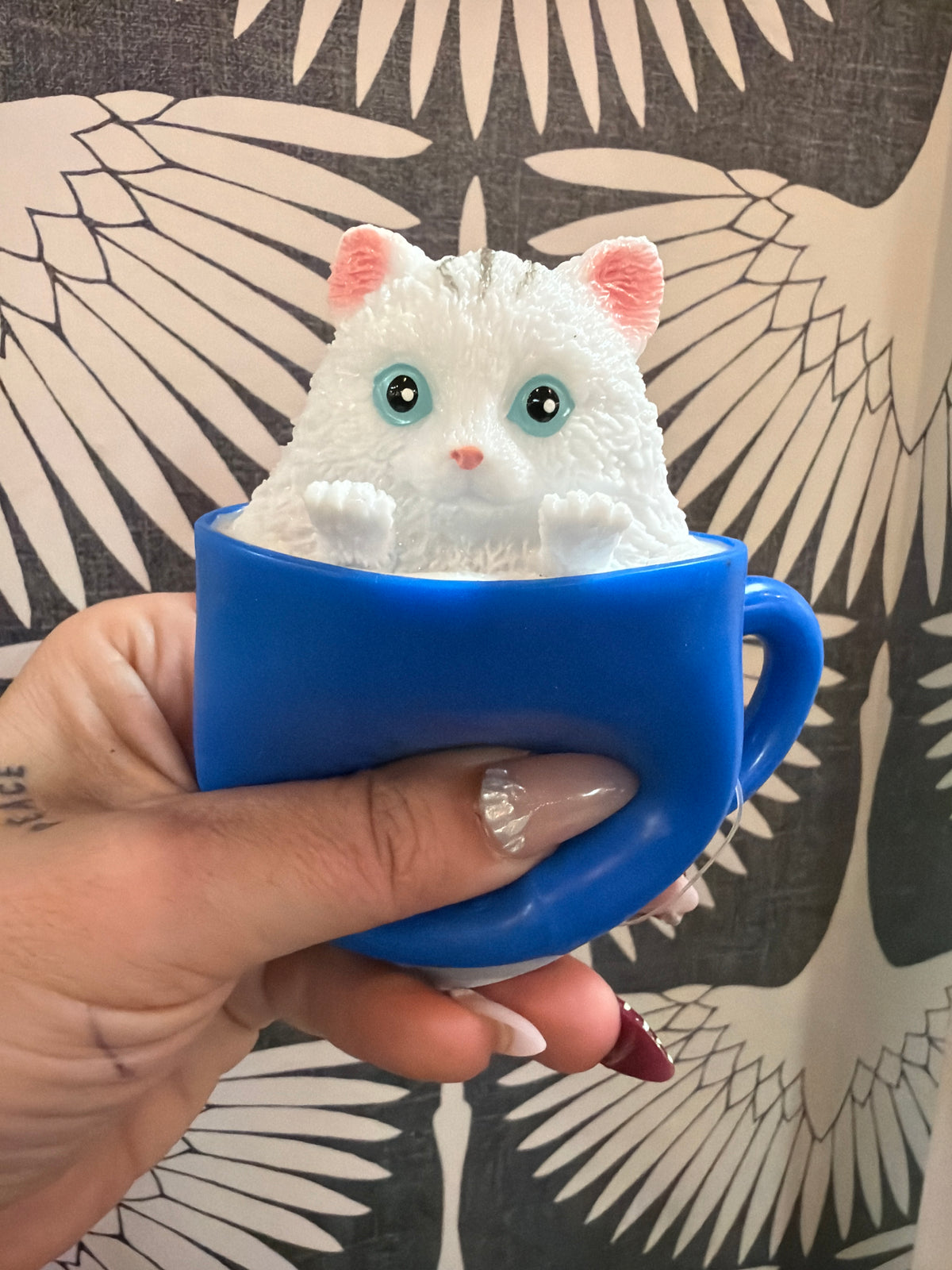 POP A CHINO SQUEEZE + REVEAL KITTIES