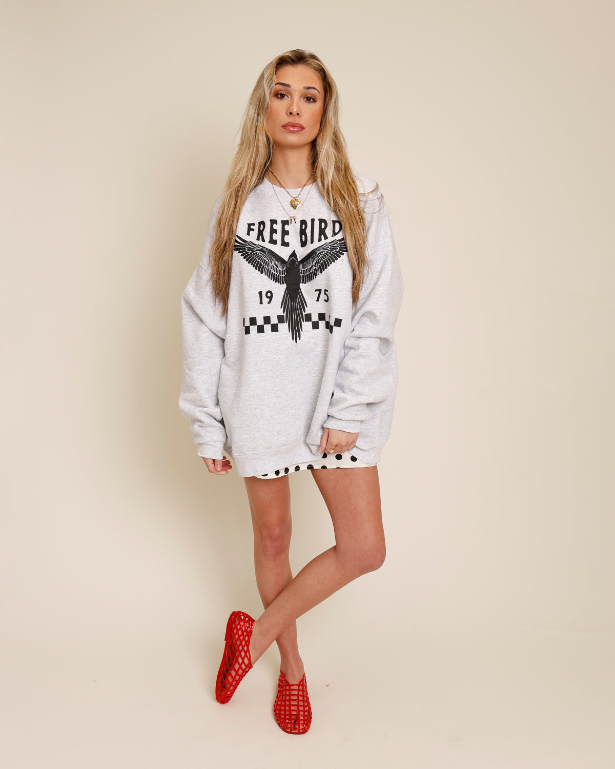 grey free bird 1975 graphic crewneck