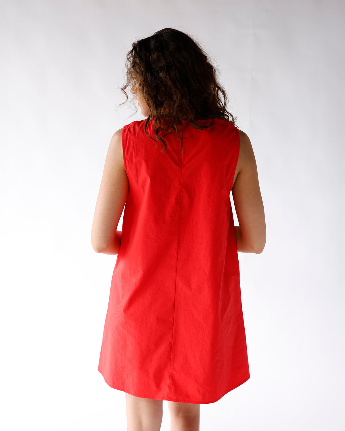 Red sleeveless mini dress with A-line silhouette, back seam detail, shown from behind