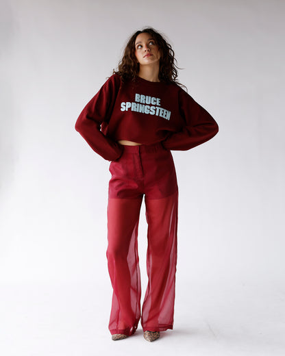 DAYDREAMER BRUCE SPRINGSTEEN VINTAGE RAGLAN SWEATSHIRT IN DARK CHERRY