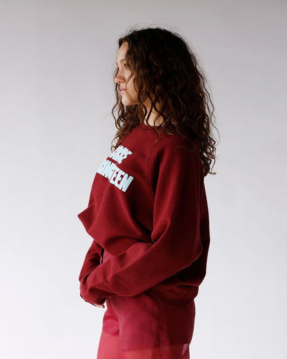 DAYDREAMER BRUCE SPRINGSTEEN VINTAGE RAGLAN SWEATSHIRT IN DARK CHERRY