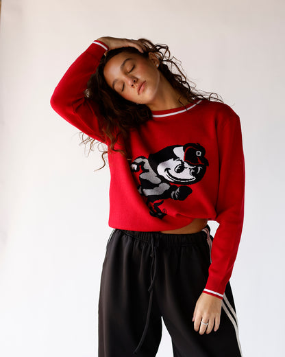 BRUTUS THE BUCKEYE OSU GAMEDAY SWEATER