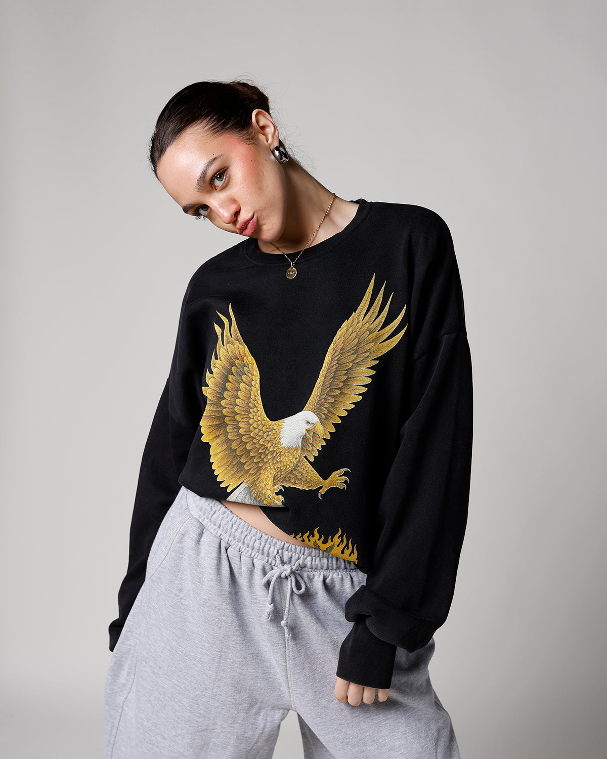 HARDLY DANGEROUS EAGLE CREW