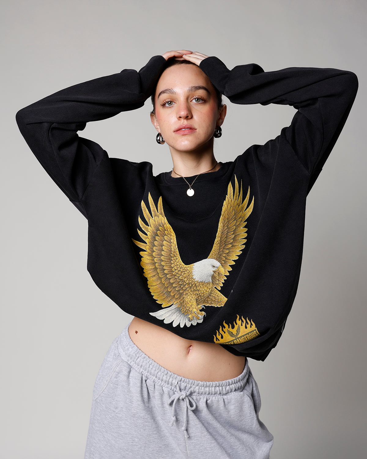 HARDLY DANGEROUS EAGLE CREW