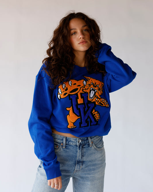 university of kentucky wildcat crewneck gameday sweatshirt