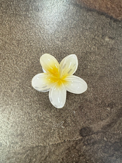 FLOWER CLAW CLIPS