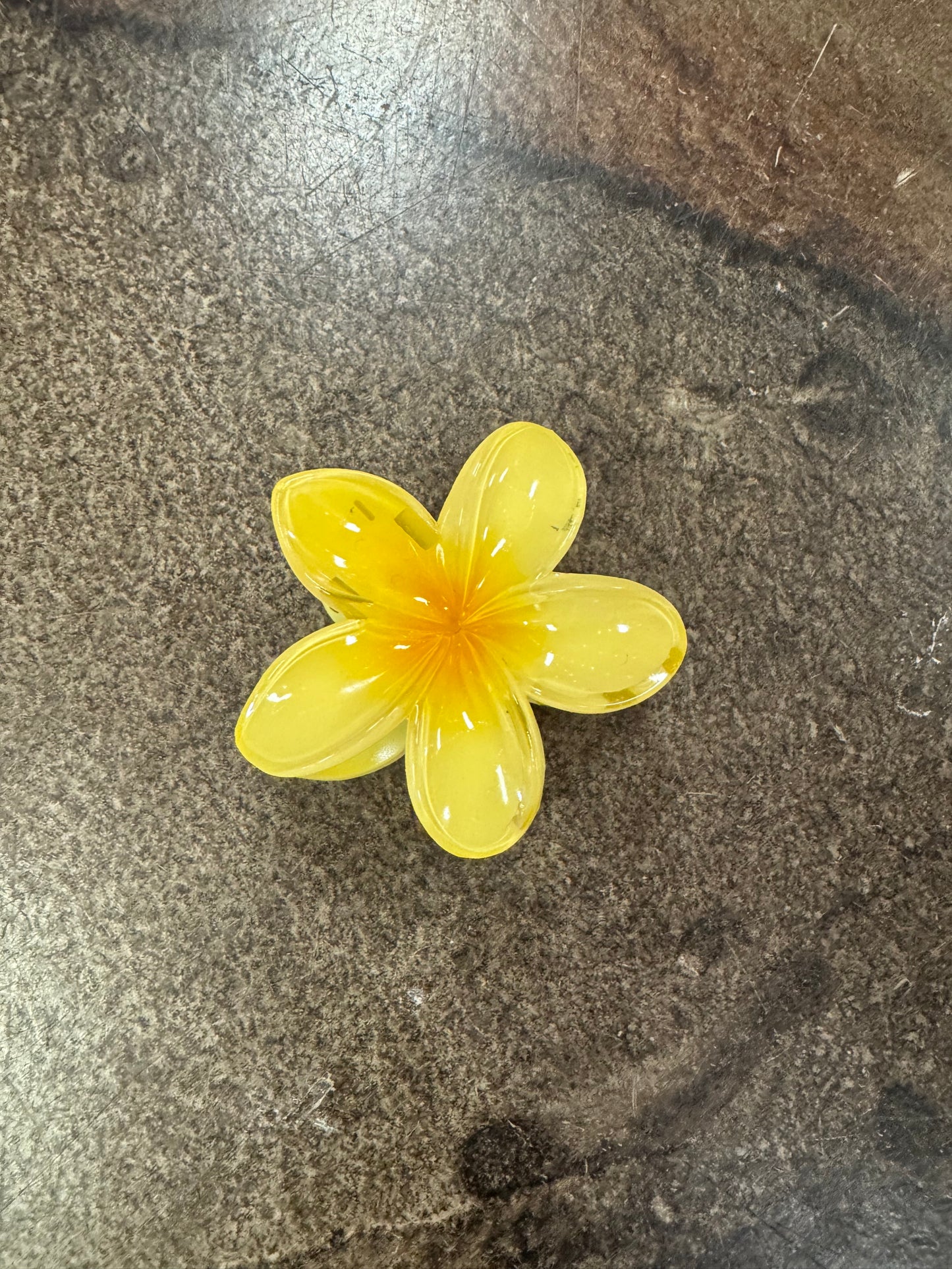 FLOWER CLAW CLIPS