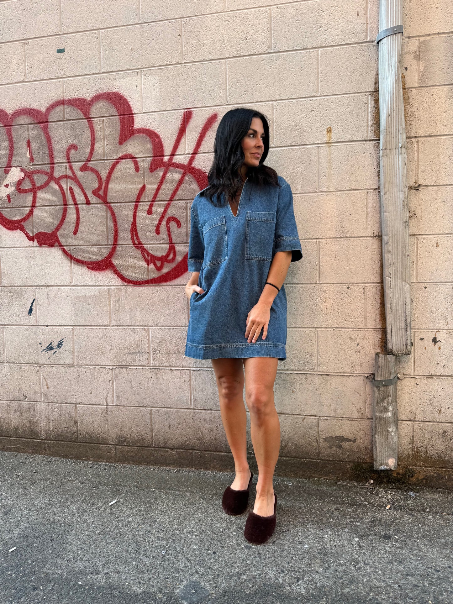 FAITHFUL DENIM DRESS