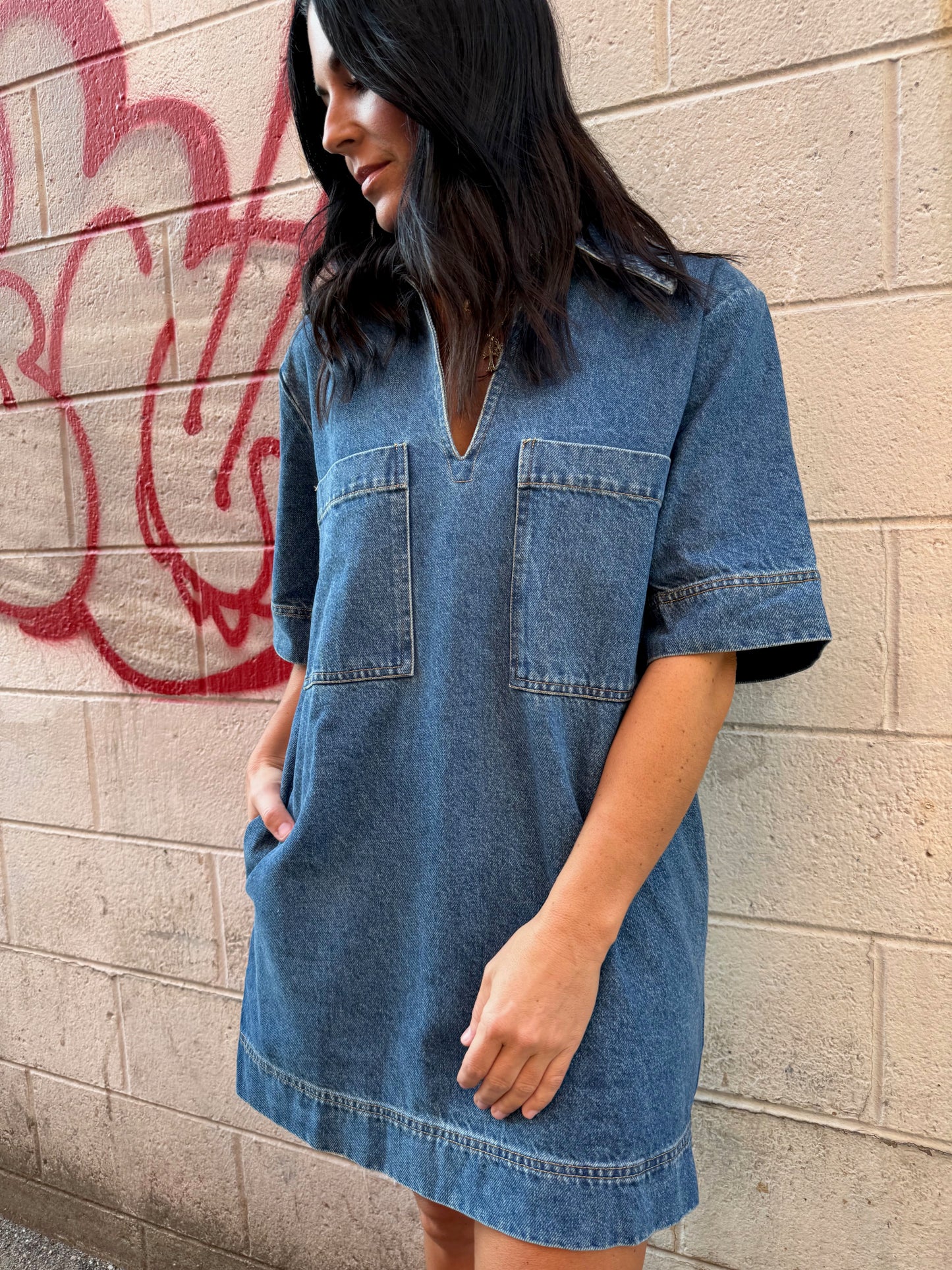 FAITHFUL DENIM DRESS