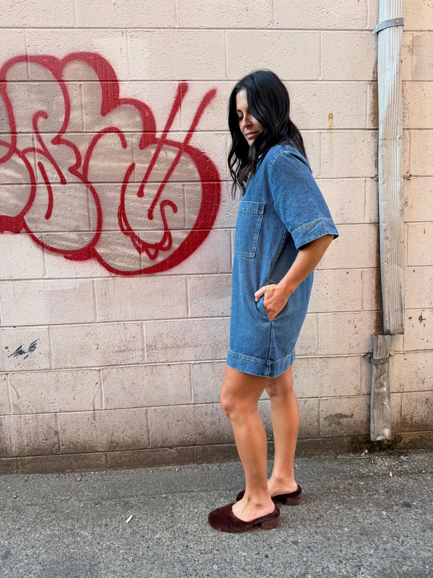 FAITHFUL DENIM DRESS