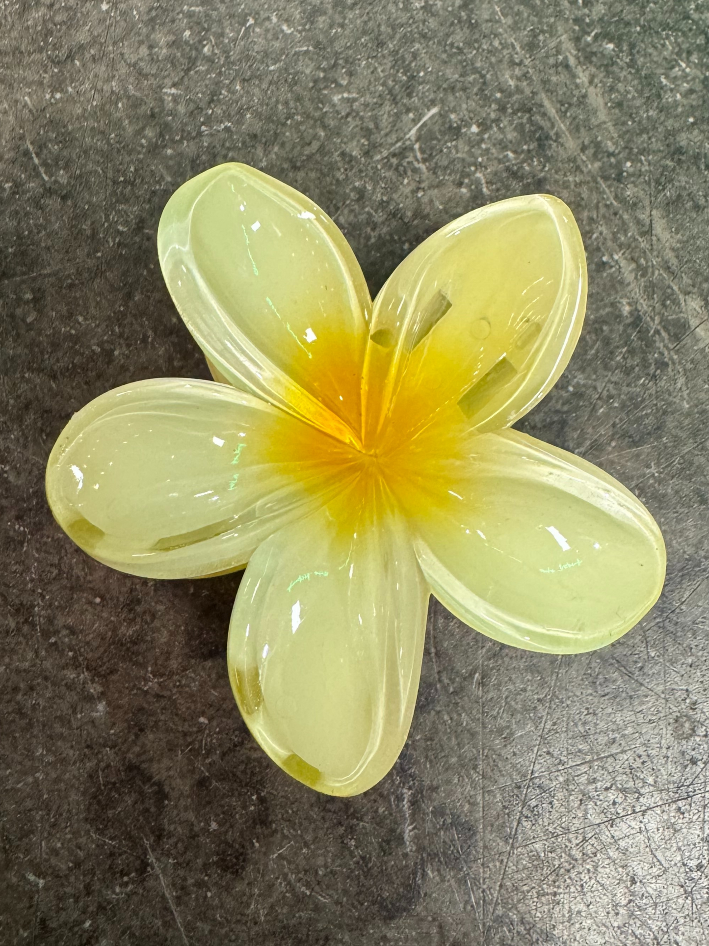 FLOWER CLAW CLIPS