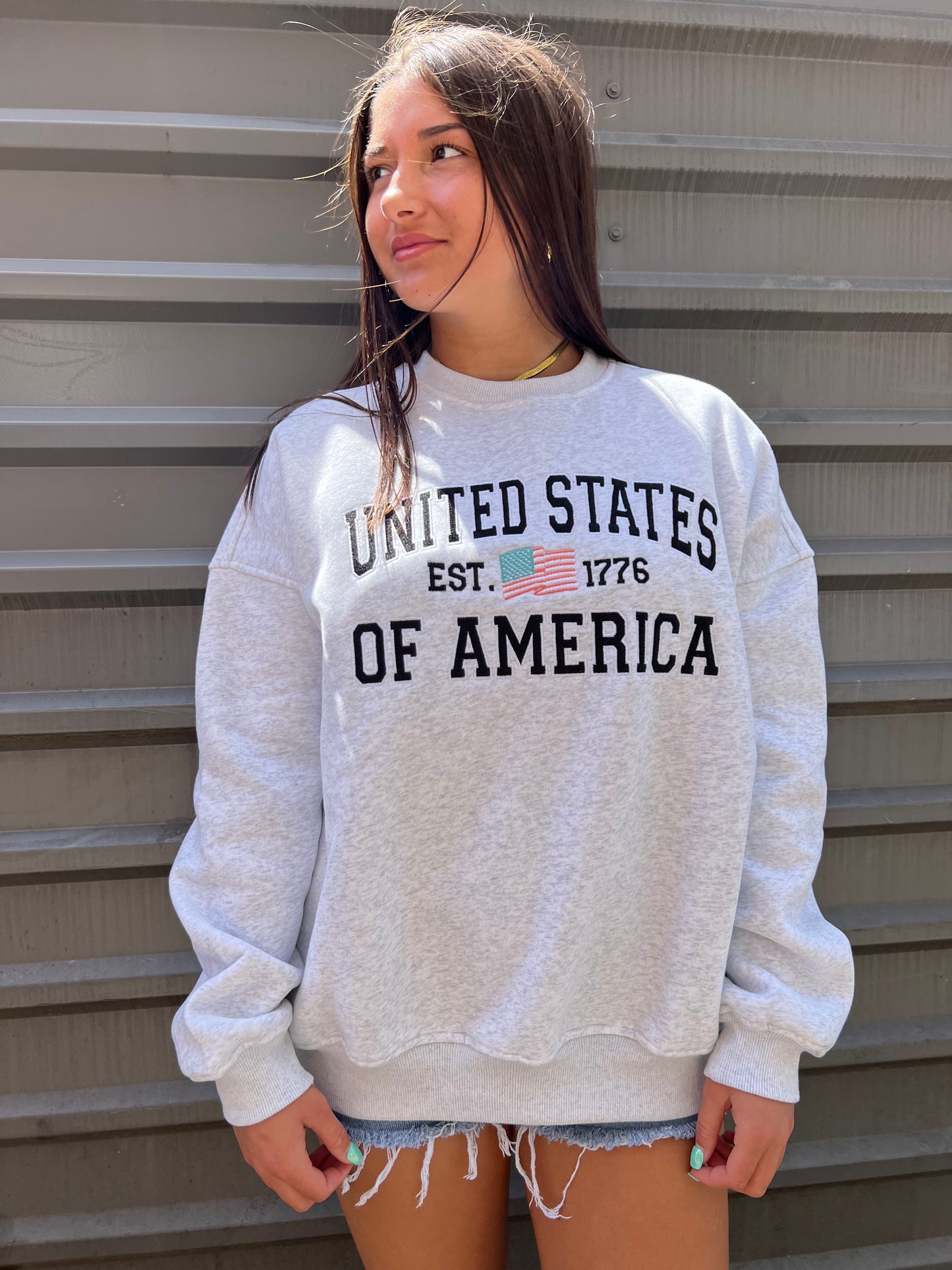 pearl gray usa crewneck sweatshirt