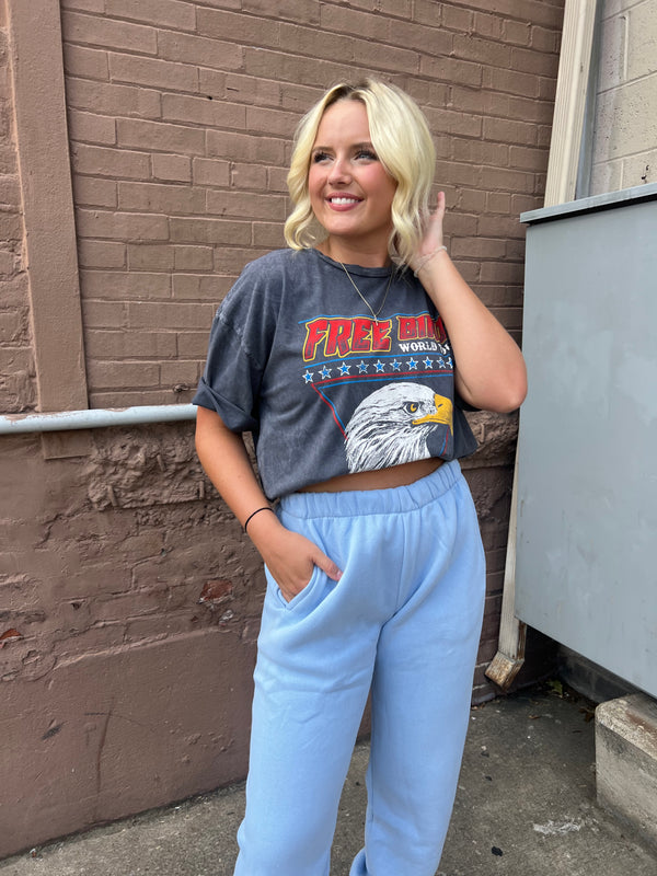 FREE BIRD WORLD TOUR OVERSIZED GRAPHIC TEE IN WASHED GRAY - THE HIP EAGLE BOUTIQUE