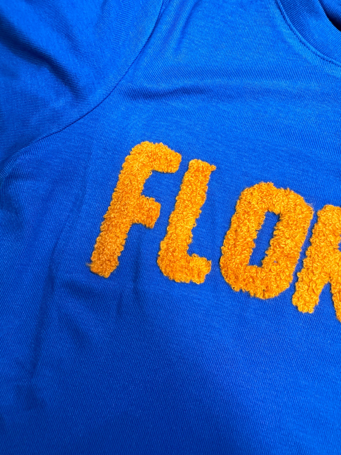 blue Florida Gators cropped t-shirt