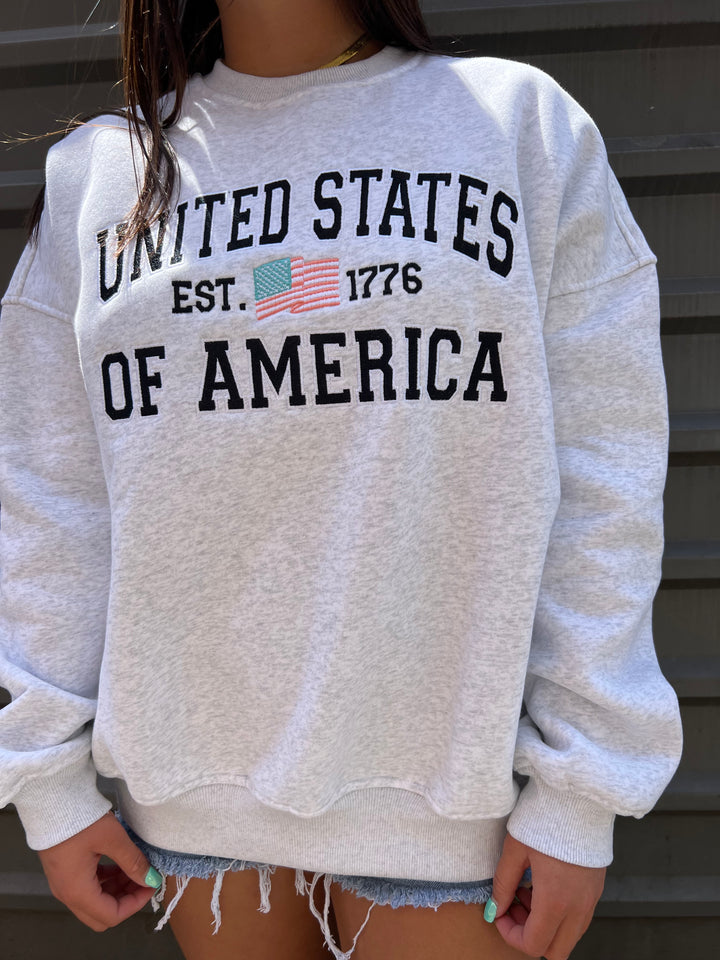 united state of america embroidered graphic crewneck