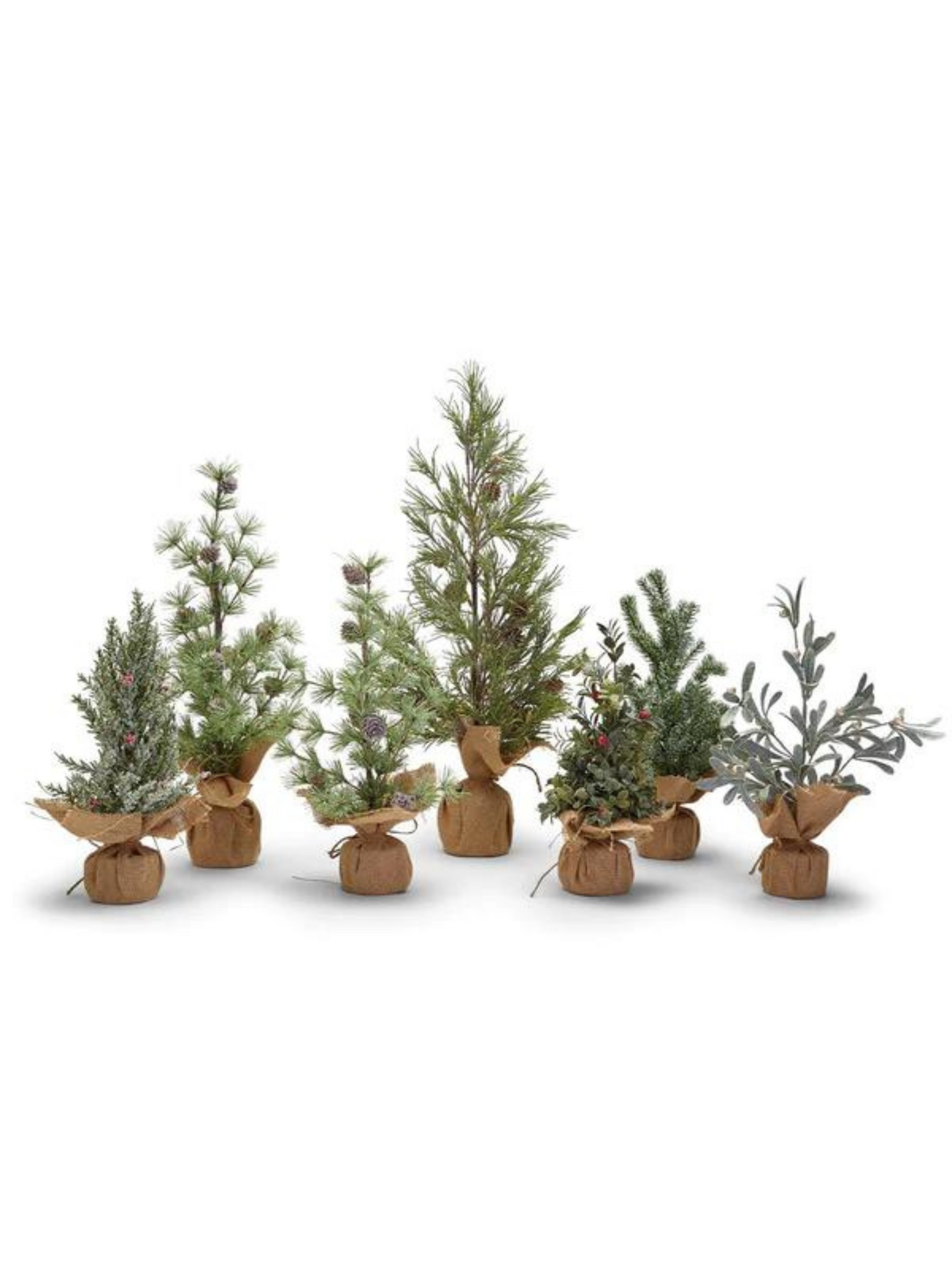 FROSTED EVERGREEN HOLIDAY TREES - THE HIP EAGLE BOUTIQUE