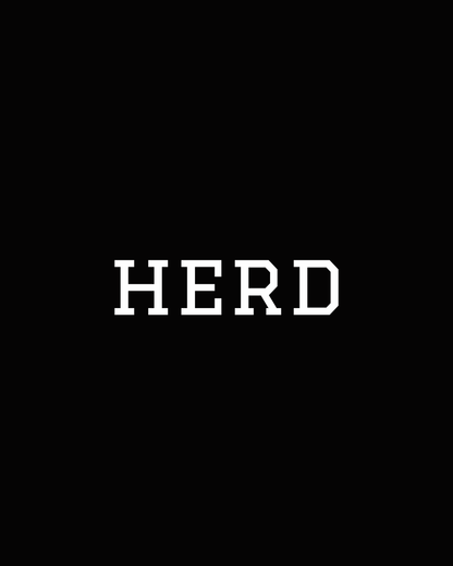 Black raglan long sleeve tee with bold white HERD text graphic on chest